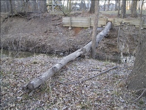 000227 trailIMG_3230.jpg